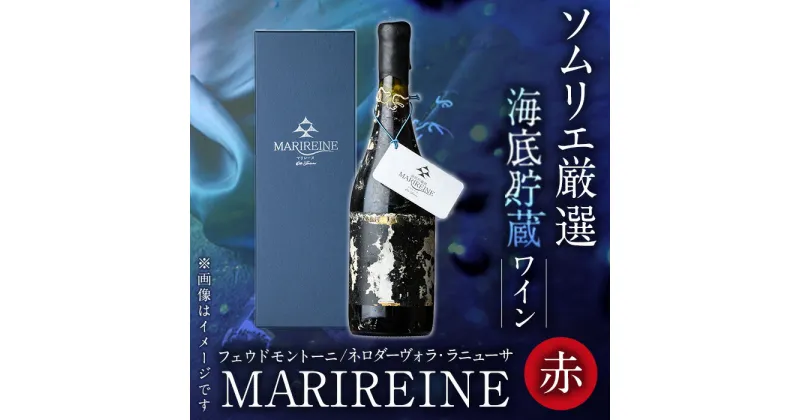 【ふるさと納税】海底貯蔵ワイン 赤 MARIREINE 2019 フェウドモントーニ (750ml・ギフト箱入り)イタリア ワイン 赤ワイン 酒 パーティー 海底酒 熟成 マリレーヌ 大分県 佐伯市【FP013】【フルタ酒店】