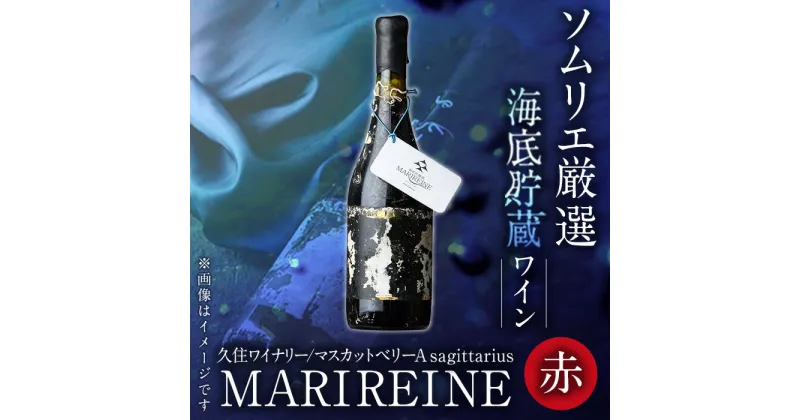 【ふるさと納税】海底貯蔵ワイン 赤 MARIREINE マスカットベリーA sagittarius2022(720ml・1本)久住ワイナリー ワイン 赤ワイン 酒 パーティー マリレーヌ 海底酒 熟成 大分県 佐伯市【FP021】【フルタ酒店】