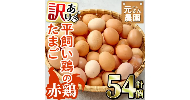 【ふるさと納税】＜訳あり・規格外＞ 平飼い赤鶏のたまご (計54個) 元さん農園 卵 玉子 卵かけご飯 玉子焼き 平飼い 鶏 鶏卵 養鶏場直送 新鮮 大分県 佐伯市 【GE008】【 (株)海九】