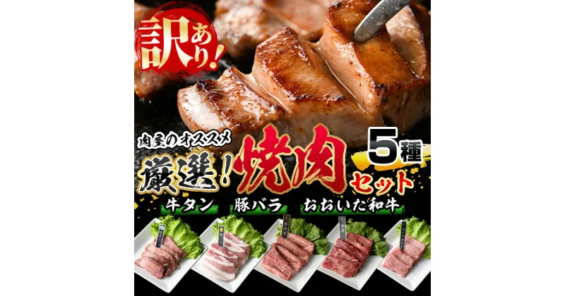 【ふるさと納税】＜訳あり＞厳選焼肉お試しセット (合計410g・5種) おおいた和牛 アイオワプレミアム 牛タン 米の恵み 豚バラ 焼肉 牛肉 肉 豚肉 赤身 カルビ 希少部位 低温熟成 和牛 ブランド牛 BBQ 冷凍 大分県 佐伯市【DH263】【(株)ネクサ】