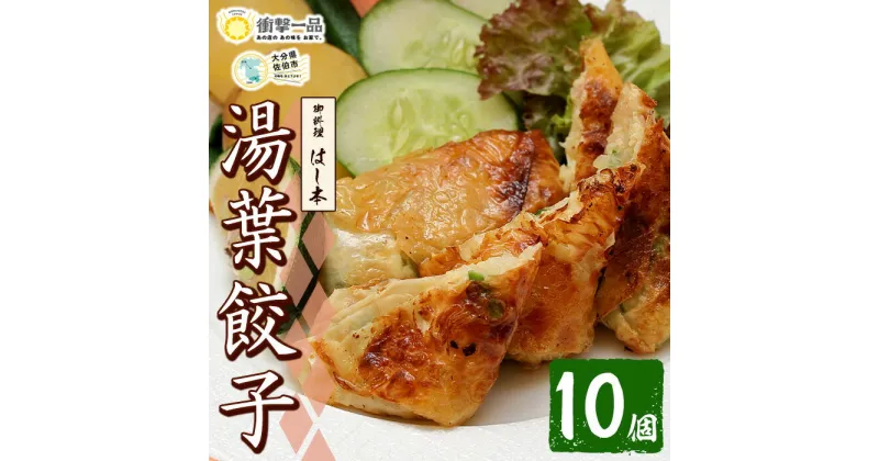 【ふるさと納税】衝撃一品！御料理はし本 湯葉餃子 (計10個) 餃子 ギョーザ 豚肉 牛肉 湯葉 おつまみ おかず お惣菜 冷凍 大分県 佐伯市【AB224】【柳井商店】