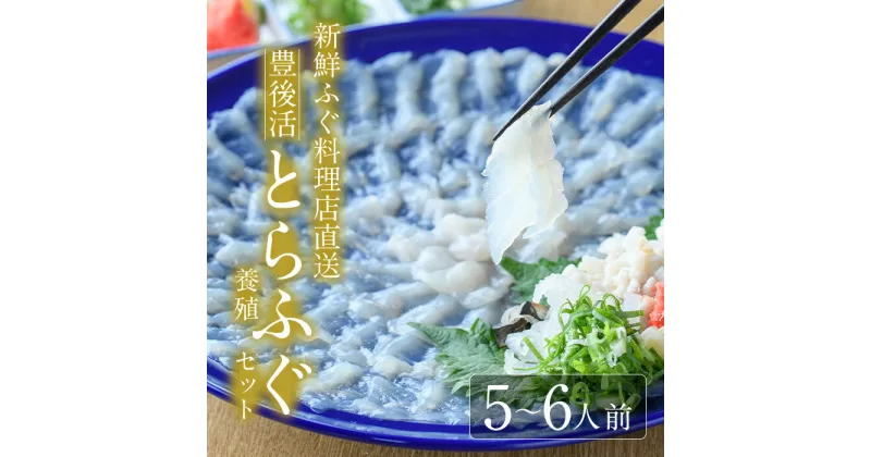 【ふるさと納税】＜着日指定必須＞新鮮ふぐ料理店直送 「豊後活とらふぐ 刺身セット 養殖5-6人前」とらふぐ ふぐ フグ ふぐ刺し フグ刺し ふぐ刺身 フグ刺身 刺身 鮮魚 冷蔵 国産 大分県 佐伯市【HD221】【さいき本舗 城下堂】