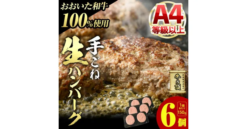 【ふるさと納税】おおいた和牛 100% 手ごね 生ハンバーグ (計900g・150g×6個) 国産 牛肉 肉 霜降り A4 和牛 ブランド牛 冷凍 大分県 佐伯市【DH267】【(株)ネクサ】