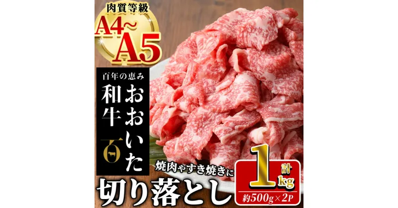 【ふるさと納税】 おおいた 和牛 切り落とし (計1kg ・500g×2P) 国産 牛肉 肉 霜降り A4 A5 黒毛和牛 すき焼き スキヤキ しゃぶしゃぶ 焼肉 和牛 豊後牛 ブランド牛 冷凍【HE01】【(株)吉野】