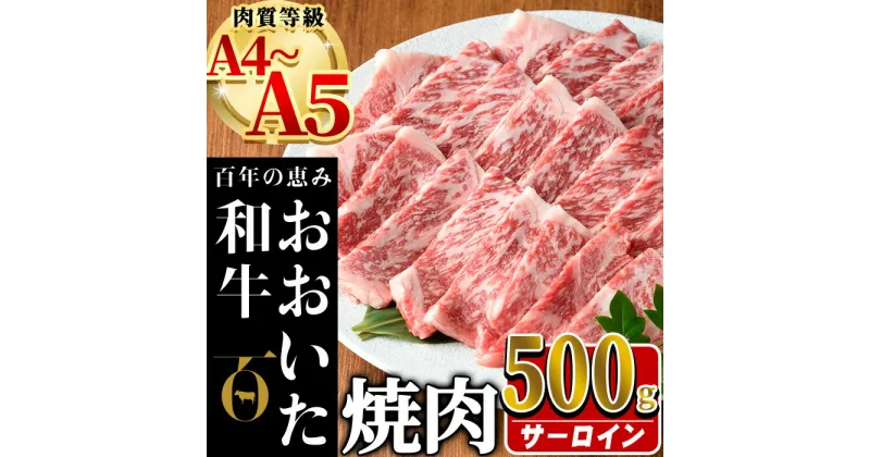 【ふるさと納税】おおいた和牛 サーロイン 焼肉 (計500g) 国産 牛肉 肉 霜降り A4 A5 黒毛和牛 和牛 豊後牛 ブランド牛 冷凍【HE04】【(株)吉野】