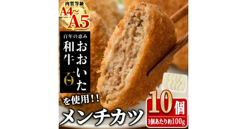 【ふるさと納税】おおいた和牛 手作り メンチカツ (計1kg・100g×10個) 惣菜 おかず 揚げるだけ 牛肉 肉 A4 A5 黒毛和牛 和牛 豊後牛 ブランド牛 冷凍【HE09】【(株)吉野】