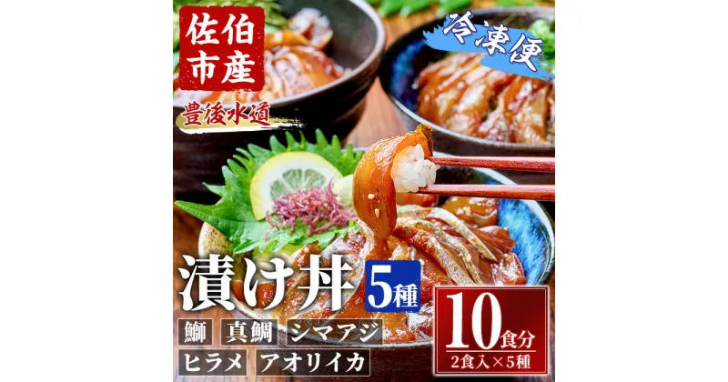 【ふるさと納税】漬け丼 5種セット (計10食分・2食入×5種) りゅうきゅう あつめし 魚介 鰤 ブリ 真鯛 タイ シマアジ アジ ヒラメ 鮃 アオリイカ イカ 冷凍 海鮮 海の直売所 大分県 佐伯市【AS147】【海べ (株)】