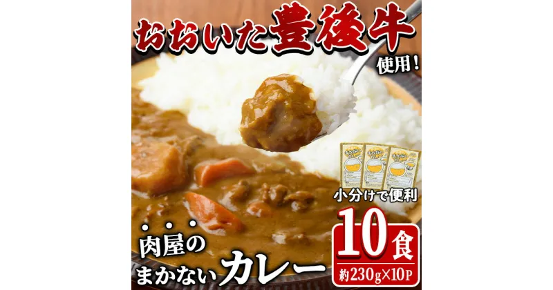 【ふるさと納税】肉屋のまかない 豊後牛 カレー (計2.3kg・230g×10P) レトルト レトルトカレー 簡単調理 湯煎調理 ビーフカレー おおいた豊後牛 ご当地カレー【HE07】【吉野】