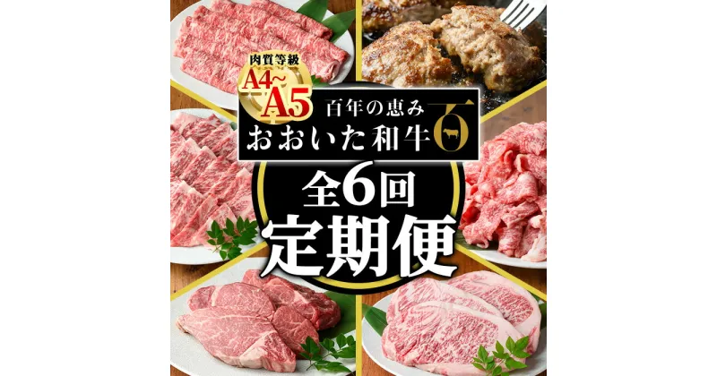 【ふるさと納税】＜ 定期便 ・全6回(連続)＞おおいた 和牛 定期便 (総量4.33kg) 国産 牛肉 肉 霜降り A4 A5 黒毛和牛 ステーキ すき焼き しゃぶしゃぶ 焼肉 ヒレ フィレ 豊後牛 ブランド牛 冷凍 ハンバーグ【HE12】【(株)吉野】