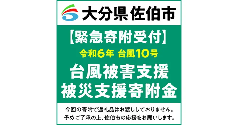 【ふるさと納税】【令和6年台風10号被害支援緊急寄附受付】大分県佐伯市災害応援寄附金（返礼品はありません）