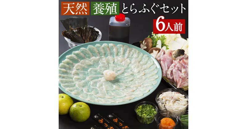 【ふるさと納税】割烹みつご ふぐセット(養殖・天然とらふぐ各3人前) 計6人前 とらふぐ トラフグ とらふぐ刺し トラフグ刺し ふぐ フグ 河豚 ふぐ刺し フグ刺し 河豚刺し ふぐ刺身 さしみ ふぐちり フグちり ふぐちりセット 食べ比べ 鍋 ふぐ鍋 送料無料