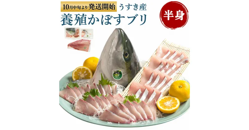 【ふるさと納税】養殖 かぼすブリ 半身 3枚おろし アラ カマ かぼす カボス ブリ ぶり 鰤 魚介類 魚貝類 魚 冷蔵発送 真空パック 旬 臼杵産 九州産 国産 送料無料