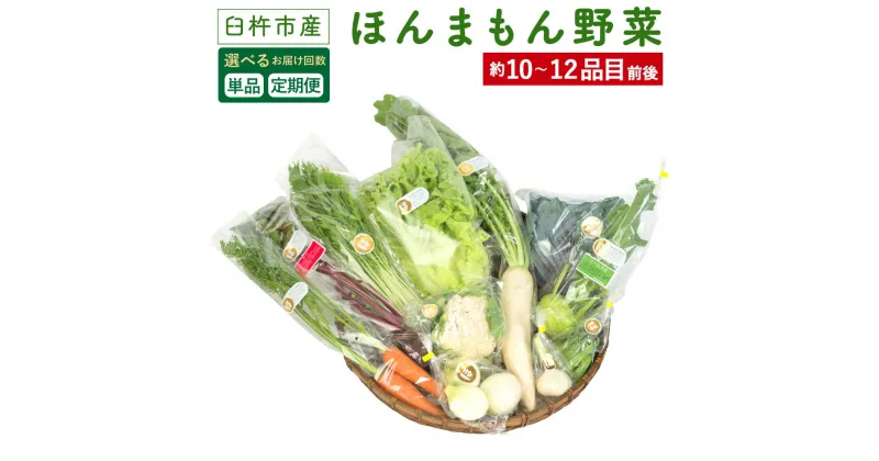 【ふるさと納税】【選べるお届け回数 1回 3回 6回 12回】ほんまもん野菜 約10〜12品目前後 10〜12種類 単品 または 定期便 野菜 セット 詰め合わせ 旬 栽培期間中化学合成農薬・化学肥料不使用 臼杵市産 九州産 国産 送料無料