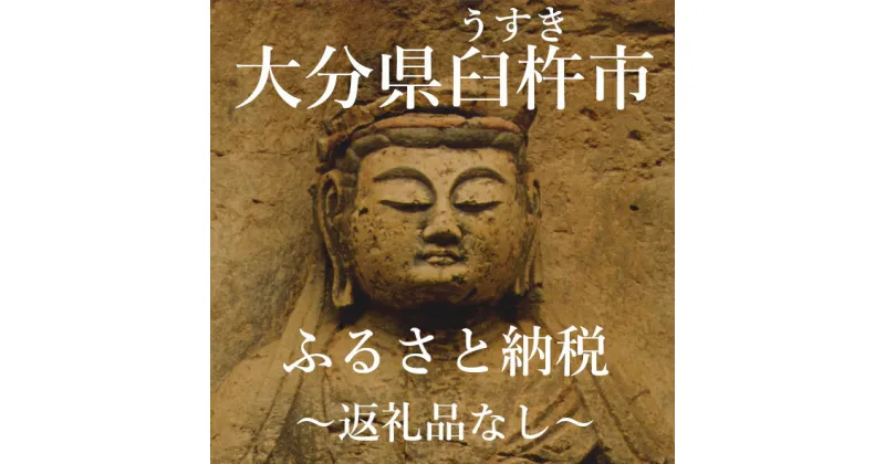 【ふるさと納税】大分県臼杵市　返礼品なし 5,000円（寄附のみの受付となります）