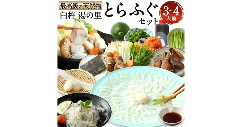 【ふるさと納税】臼杵湯の里 天然とらふぐセット（3〜4人前） ヒレ酒 ふぐちり フグちり ふぐちりセット セット ふぐ刺し 刺身 鍋 臼杵産お野菜 薬味付き 焼きヒレ 自家製ポン酢 かぼす グルメ お取り寄せ 国産 送料無料