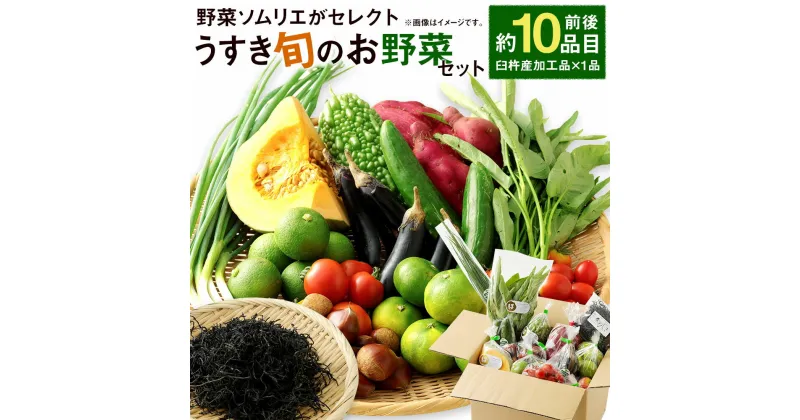 【ふるさと納税】野菜ソムリエがセレクト!「うすき旬のお野菜セット」 約10品目前後 加工品1品 レシピ付き ほんまもん農産物 野菜 果物 お任せ 詰め合わせ 九州産 大分県 臼杵市産 送料無料