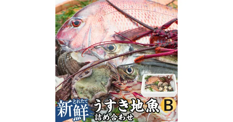 【ふるさと納税】豊後水道 うすき 地魚 詰め合わせ Bセット 1箱分 ランダム おまかせ 魚 旬 新鮮 魚介類 生魚 海鮮 下処理対応可 冷蔵 大分県 臼杵市 送料無料