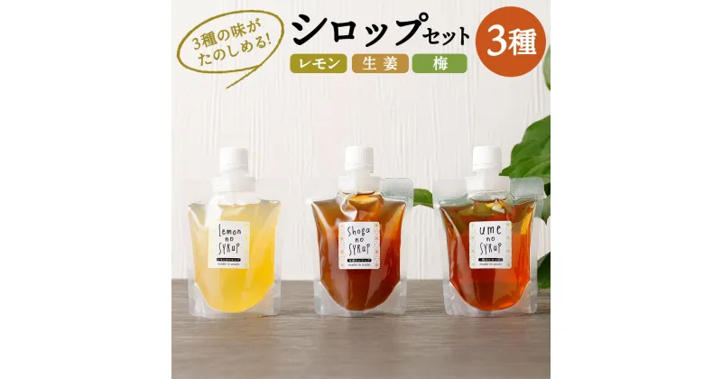 【ふるさと納税】3種の味がたのしめる！ シロップセット 生姜 レモン 梅 3種 200g×各1個 合計3個 シロップ 調味料 国産 送料無料