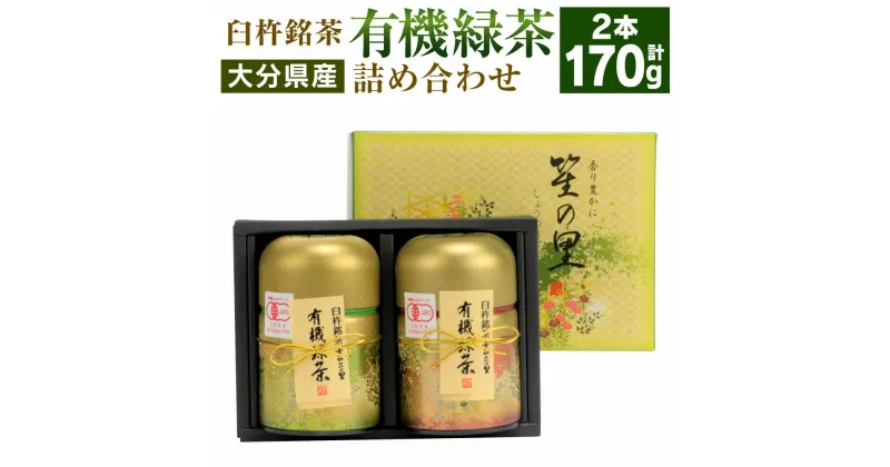 【ふるさと納税】有機JAS認証大分県第1号！高橋製茶 有機緑茶 詰め合わせ［銀］ 合計170g 85g×2個 お茶 茶 緑茶 茶葉 有機 飲み物 飲料 詰め合せ 詰合せ セット 大分県 送料無料