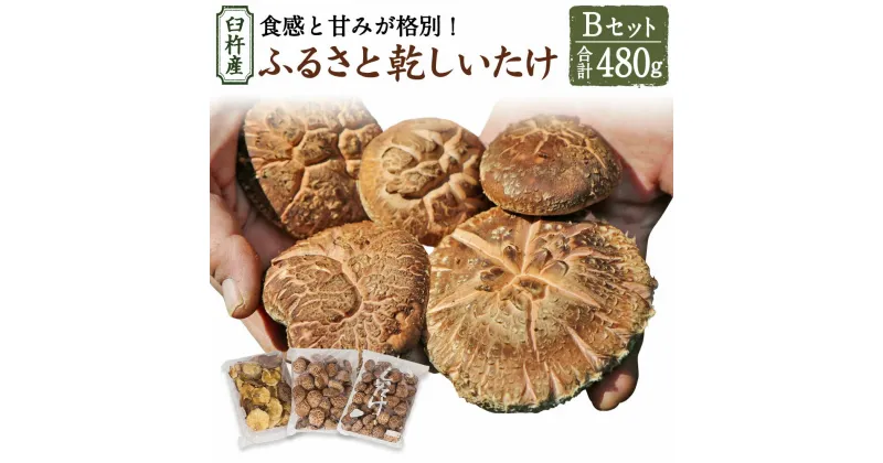 【ふるさと納税】臼杵産 ふるさと 乾しいたけ Bセット（計480g）3袋 小粒どんこ こうこ どんこ 椎茸 しいたけ シイタケ きのこ 干ししいたけ 原木栽培 産地直送 国産 九州産 大分県 臼杵市 送料無料