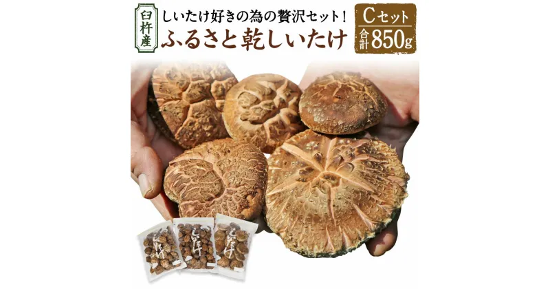 【ふるさと納税】臼杵産 ふるさと 乾しいたけ Cセット（計850g）3袋 小粒どんこ こうこ こうしん 椎茸 しいたけ シイタケ きのこ 干ししいたけ 原木栽培 産地直送 国産 九州産 大分県 臼杵市 送料無料