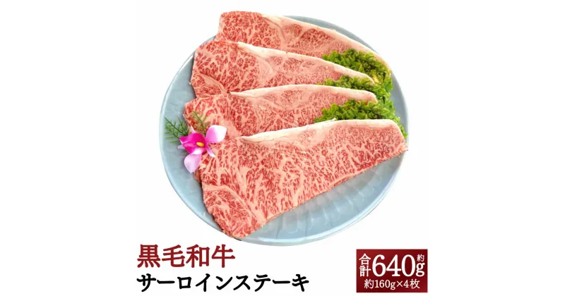 【ふるさと納税】肉質4等級以上！おおいた和牛の黒毛和牛サーロインステーキ 計640g 約160g×4枚 おおいた和牛 おおいた豊後牛 豊後牛 黒毛和牛 和牛 サーロインステーキ サーロイン ステーキ 4等級以上 真空パック お肉 牛肉 国産 九州産 大分県産 送料無料