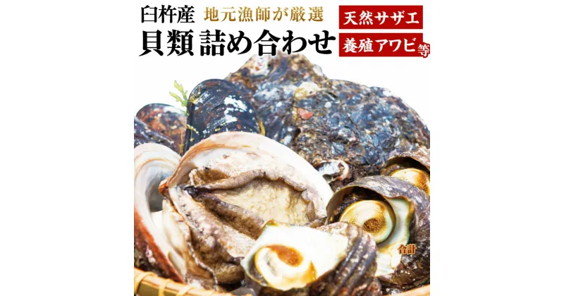 【ふるさと納税】臼杵産 貝類 詰め合わせ 天然サザエ 養殖アワビ ムール貝 産地直送 魚介 魚介類 詰め合わせ 食べ比べ 新鮮 特産品 国産 刺身 つぼ焼き バター焼き お取り寄せ 送料無料