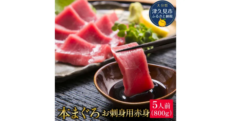 【ふるさと納税】本マグロ まぐろお刺身用 赤身5人前(800g) 鮪 海鮮丼 刺し身 刺身 盛り合わせ 冷凍 魚の刺身 大分県産 九州産 津久見市 国産 送料無料