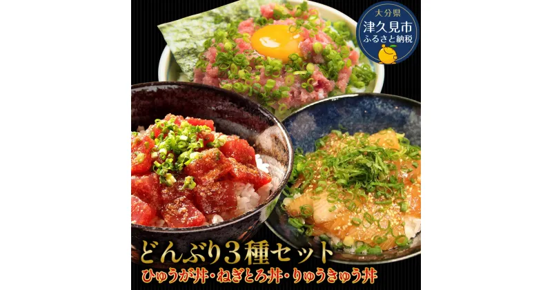 【ふるさと納税】どんぶり3種セット ぶりのりゅうきゅう丼・マグロ（ひゅうが丼）・ねぎとろセット ねぎとろ 鮪丼 まぐろ 大分県産 九州産 津久見市 国産 送料無料