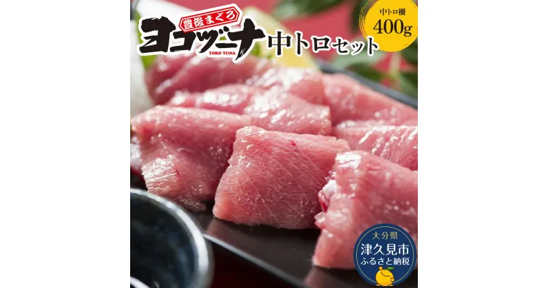 【ふるさと納税】豊後まぐろ ヨコヅーナ刺身用・中トロ 400g 鮪 マグロ 海鮮丼 刺し身 盛り合わせ 冷凍 魚の刺身 大分県産 九州産 津久見市 国産 送料無料