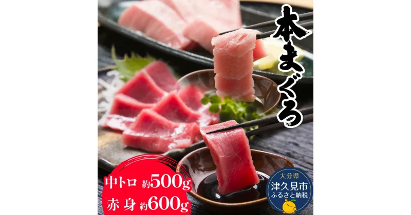 【ふるさと納税】本マグロ まぐろ 中トロ 約500g・赤身 約600gセット 鮪 海鮮丼 刺し身 刺身 盛り合わせ 冷凍 魚の刺身 大分県産 九州産 津久見市 国産 送料無料