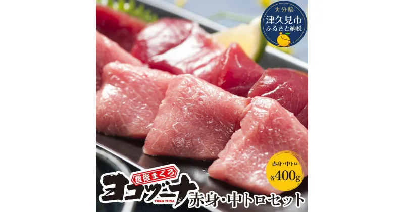 【ふるさと納税】豊後まぐろ ヨコヅーナ 赤身400g 中トロ400g 鮪 マグロ 海鮮丼 刺し身 盛り合わせ 冷凍 魚の刺身 大分県産 九州産 津久見市 国産 送料無料