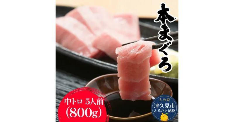 【ふるさと納税】本まぐろ お刺身用 中トロ5人前(800g) 鮪 海鮮丼 刺し身 刺身 盛り合わせ 冷凍 魚の刺身 大分県産 九州産 津久見市 国産 送料無料