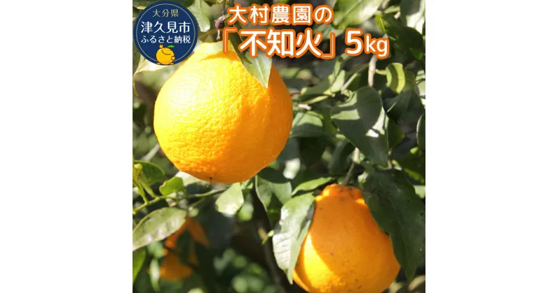 【ふるさと納税】【先行予約】大村農園のみかん 不知火 5kg ミカン 蜜柑 オレンジ 果実 旬のフルーツ 大分県産 九州産 津久見市 国産 送料無料