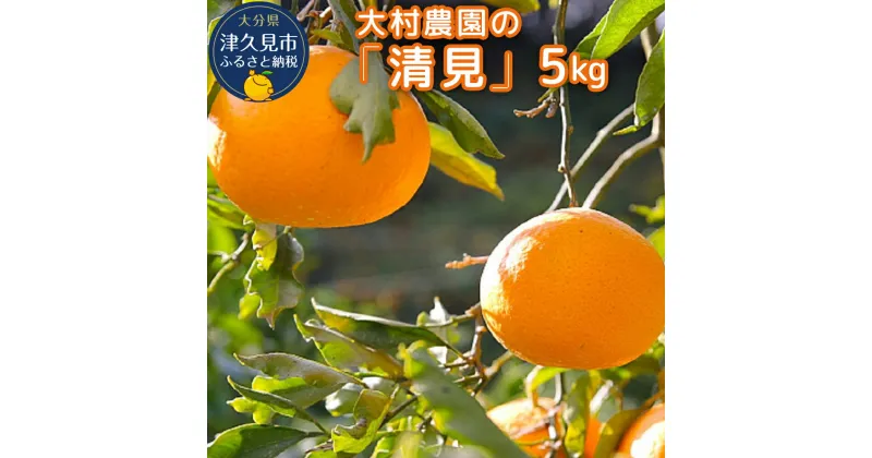 【ふるさと納税】【先行予約】大村農園のみかん 清見 5kg ミカン 蜜柑 オレンジ 果実 旬のフルーツ 大分県産 九州産 津久見市 国産 送料無料