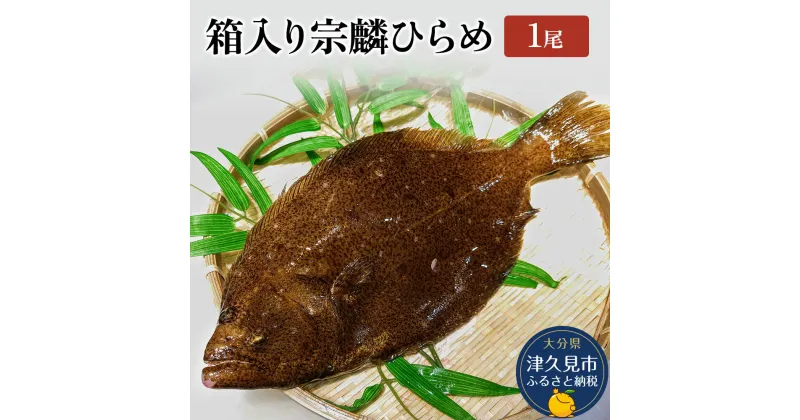 【ふるさと納税】箱入り宗麟ひらめ 1尾 ヒラメ 夫婦仲良く 平目 鮃 刺身 生魚 新鮮 大分県産 九州産 津久見市 国産 送料無料