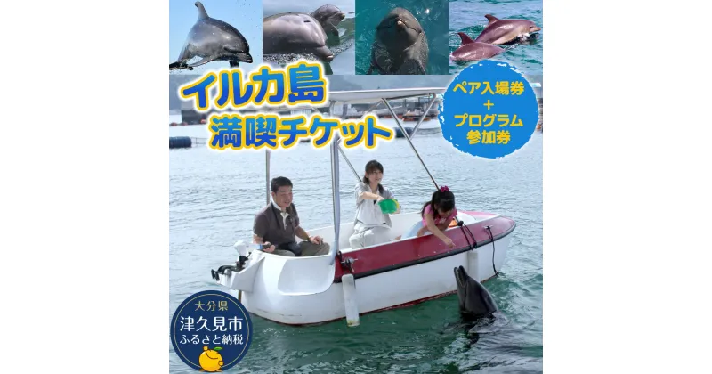 【ふるさと納税】イルカとふれあうFor family（イルカ島満喫チケット）水族館 体験チケット レジャーチケット アクティビティ 動物ふれあい 大分県産 九州産 津久見市 国産 送料無料