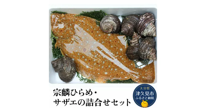 【ふるさと納税】宗麟ひらめ・サザエの詰合せセット ヒラメ 平目 鮃 刺身 生魚 新鮮 大分県産 九州産 津久見市 国産 送料無料