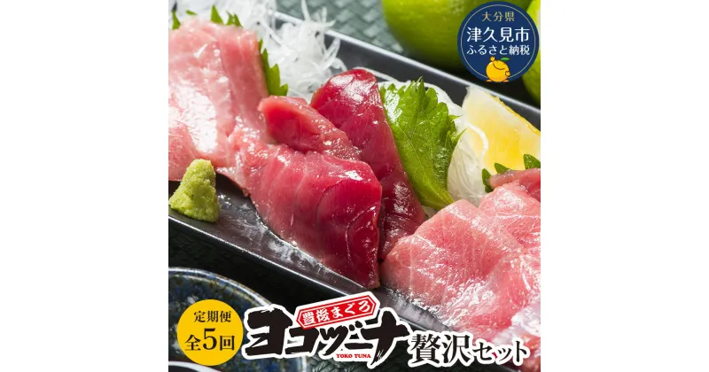 【ふるさと納税】【定期便 5回】豊後まぐろヨコヅーナ 赤身250g 中トロ500g 大トロ250g 大分県津久見市産 マグロ まぐろ 鮪 丸ごと 赤身 大トロ 中トロ トロ 刺身 大分県産 九州産 津久見市 国産 送料無料