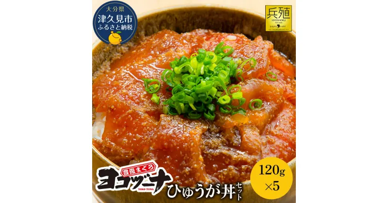 【ふるさと納税】豊後まぐろ ヨコヅーナ ひゅうが丼セット 120g×5 鮪 マグロ 海鮮丼 刺し身 盛り合わせ 冷凍 新鮮 漬け丼 大分県産 九州産 津久見市 国産 送料無料