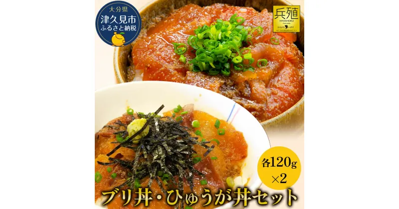 【ふるさと納税】ブリ丼・ひゅうが丼セット 各120g×2 ひろびろいけすぶり 豊後まぐろ ヨコヅーナ 鮪 マグロ 海鮮丼 刺し身 盛り合わせ 冷凍 新鮮 漬け丼 大分県産 九州産 津久見市 国産 送料無料