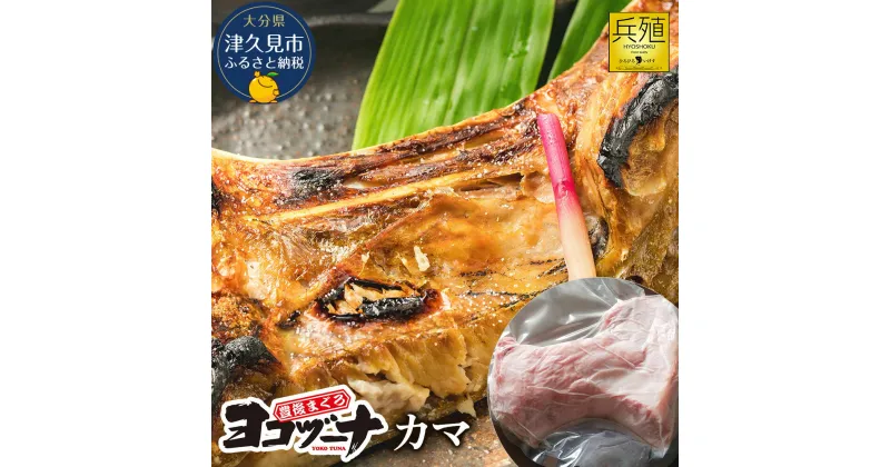 【ふるさと納税】豊後まぐろ ヨコヅーナ カマ 鮪 マグロ かま 海鮮丼 希少部位 カマトロ 刺し身 BBQ 塩焼き 煮つけ 冷凍 漬け丼 大分県産 九州産 津久見市 国産 送料無料