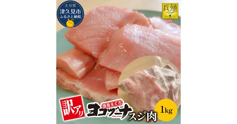 【ふるさと納税】豊後まぐろ ヨコヅーナ 訳あり スジ肉 1kg 鮪 マグロ すじ肉 希少部位 ツナ ステーキ 天ぷら BBQ 塩焼き 煮つけ 冷凍 漬け丼 大分県産 九州産 津久見市 国産 送料無料