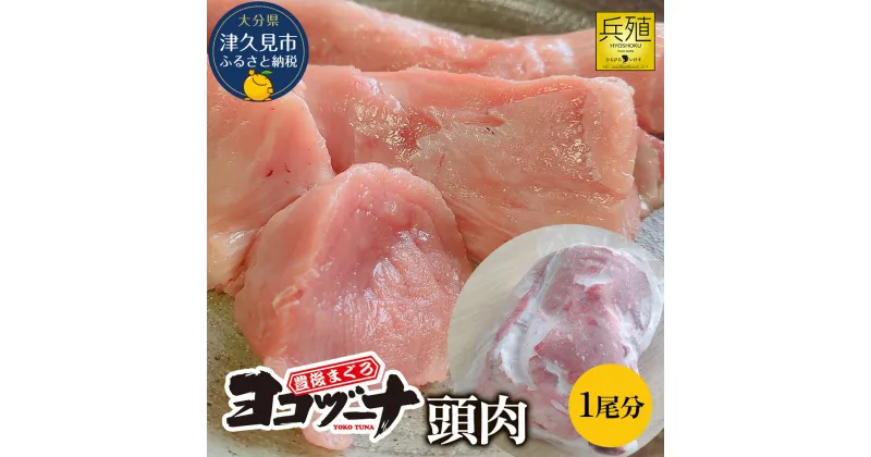 【ふるさと納税】豊後まぐろ ヨコヅーナ 頭肉 1尾分 (4切) 鮪 マグロ すじ肉 希少部位 ツナ ステーキ 天ぷら BBQ 塩焼き 煮つけ 冷凍 漬け丼 大分県産 九州産 津久見市 国産 送料無料