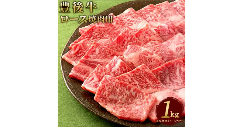 【ふるさと納税】数量限定 大分県竹田産 おおいた和牛 ロース 焼肉用 1kg 和牛日本一！ 牛肉 和牛 九州産 国産 冷凍 送料無料