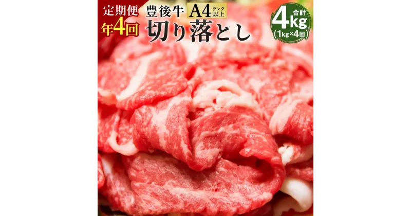 【ふるさと納税】【定期便4回】豊後牛 切り落とし 合計4kg 1kg×4回 正統派黒毛和牛 竹田 おおいた豊後牛 黒毛和牛 和牛 牛肉 A4ランク以上 切落し 小間切れ 小分け 定期便 2月・5月・8月・11月にお届け 冷凍 すき焼き 肉じゃが しゃぶしゃぶ 九州産 国産 送料無料