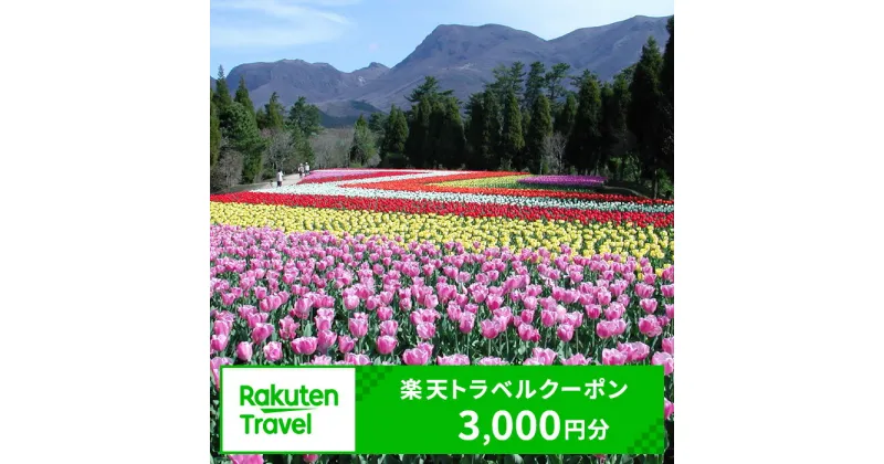 【ふるさと納税】大分県竹田市の対象施設で使える楽天トラベルクーポン 寄付額10,000円