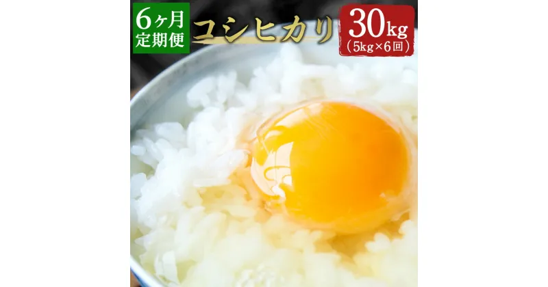 【ふるさと納税】＜ 定期便6ヶ月 ＞ コシヒカリ 5kg×6ヶ月 合計30kg こしひかり 精米 米 国産 九州産 大分県産 竹田市産 送料無料