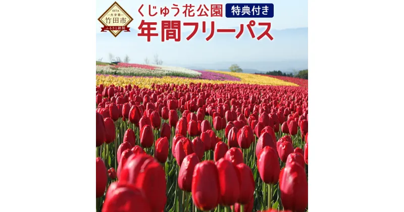 【ふるさと納税】くじゅう花公園 年間フリーパス 特典付き チケット 利用券 体験 自然 イベント 大分県 竹田市 久住 送料無料