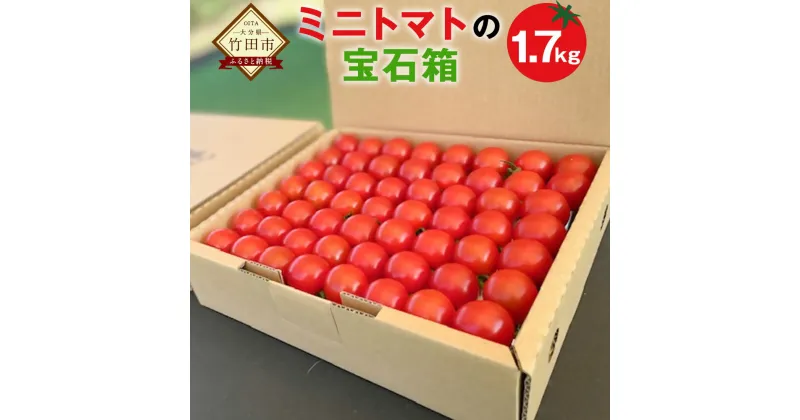 【ふるさと納税】まごころミニトマトの宝石箱 1.7kg 約80～110玉 ミニトマト とまと 野菜 大分県 竹田市 荻町産 九州産 国産 新鮮 送料無料【2024年7月上旬から11月下旬まで発送予定】